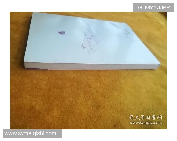 北京网球队反击打法深度解析与战术运用探讨 北京网球队反击打法深度解析与战术运用探讨