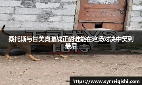 米兰体育官网